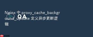 Nginx 中 proxy_cache_background_update 定义异步更新逻辑