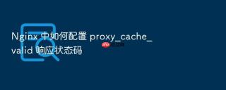 nginx 中如何配置 proxy_cache_valid 响应状态码