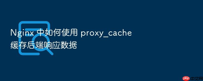 nginx 中如何使用 proxy_cache 缓存后端响应数据
