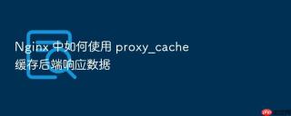 nginx 中如何使用 proxy_cache 缓存后端响应数据