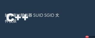 如何审计服务器 SUID SGID 文件权限