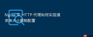 nginx 中 http 代理如何实现请求体大小限制配置