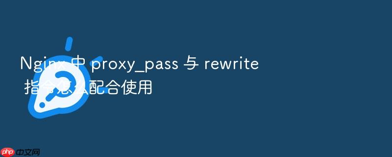 nginx 中 proxy_pass 与 rewrite 指令怎么配合使用