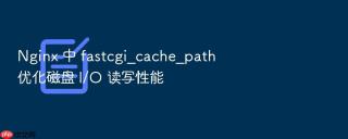 Nginx 中 fastcgi_cache_path 优化磁盘 I/O 读写性能