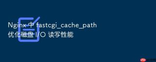 nginx 中 fastcgi_cache_path 优化磁盘 i/o 读写性能