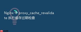 Nginx 中 proxy_cache_revalidate 执行缓存过期检查
