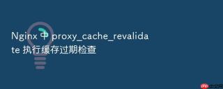 nginx 中 proxy_cache_revalidate 执行缓存过期检查