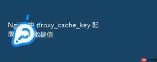 nginx 中 proxy_cache_key 配置缓存提取键值