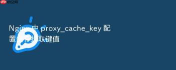 Nginx 中 proxy_cache_key 配置缓存提取键值