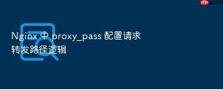 nginx 中 proxy_pass 配置请求转发路径逻辑