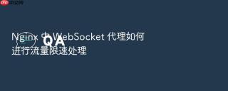 nginx 中 websocket 代理如何进行流量限速处理