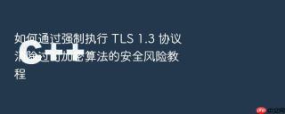 如何通过强制执行 tls 1.3 协议消除过时加密算法的安全风险教程