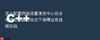 怎么配置网络流量清洗中心在分布式拒绝服务攻击下保障业务连续实战