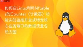 如何在linux利用nftables的counter(计数器)功能实时监控并生成特定核心业务端口的数据流量包热力图