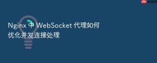 nginx 中 websocket 代理如何优化并发连接处理