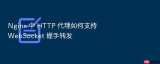 nginx 中 http 代理如何支持 websocket 握手转发
