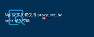 nginx 中如何使用 proxy_set_header 安全校验
