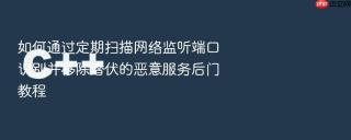 如何通过定期扫描网络监听端口识别并移除潜伏的恶意服务后门教程