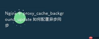 nginx 中 proxy_cache_background_update 如何配置异步同步