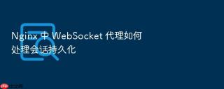 nginx 中 websocket 代理如何处理会话持久化