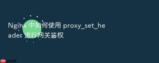 nginx 中如何使用 proxy_set_header 进行网关鉴权