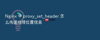 Nginx 中 proxy_set_header 怎么传递地理位置信息