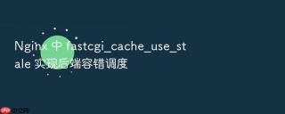 nginx 中 fastcgi_cache_use_stale 实现后端容错调度
