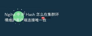 nginx 中 ip hash 怎么在集群环境维护客户端连接唯一性