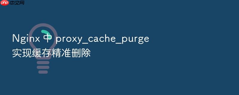 nginx 中 proxy_cache_purge 实现缓存精准删除