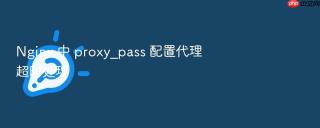 nginx 中 proxy_pass 配置代理超时处理