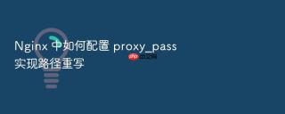 Nginx 中如何配置 proxy_pass 实现路径重写