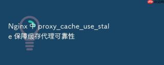 Nginx 中 proxy_cache_use_stale 保障缓存代理可靠性