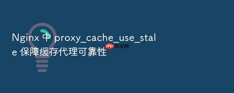 nginx 中 proxy_cache_use_stale 保障缓存代理可靠性