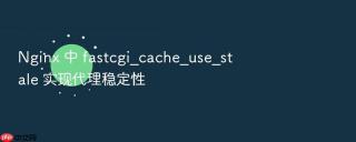 Nginx 中 fastcgi_cache_use_stale 实现代理稳定性