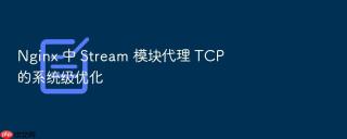 Nginx 中 Stream 模块代理 TCP 的系统级优化