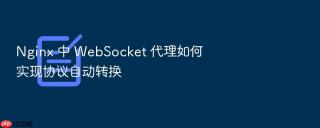 nginx 中 websocket 代理如何实现协议自动转换