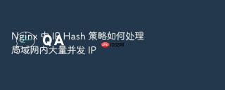 nginx 中 ip hash 策略如何处理局域网内大量并发 ip