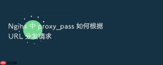 Nginx 中 proxy_pass 如何根据 URL 分发请求
