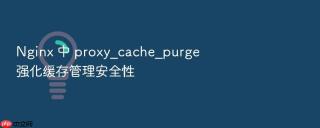 nginx 中 proxy_cache_purge 强化缓存管理安全性
