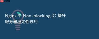 nginx 中 non-blocking io 提升服务器稳定性技巧