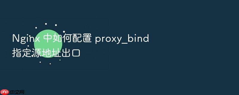 nginx 中如何配置 proxy_bind 指定源地址出口