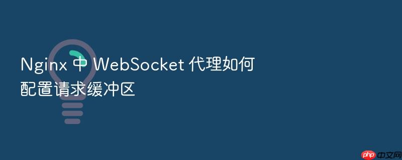 nginx 中 websocket 代理如何配置请求缓冲区