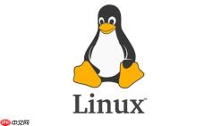 如何使用 fdisk 分区工具规划 Linux 硬盘存储空间实战