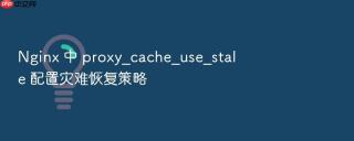 Nginx 中 proxy_cache_use_stale 配置灾难恢复策略