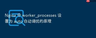 nginx 中 worker_processes 设置为 auto 自动调优的原理