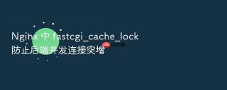 Nginx 中 fastcgi_cache_lock 防止后端并发连接突增