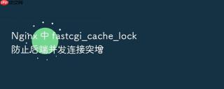 nginx 中 fastcgi_cache_lock 防止后端并发连接突增