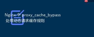 Nginx 中 proxy_cache_bypass 处理动态请求缓存规则