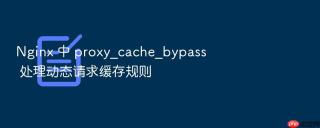 nginx 中 proxy_cache_bypass 处理动态请求缓存规则