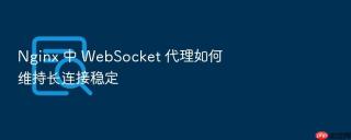 nginx 中 websocket 代理如何维持长连接稳定